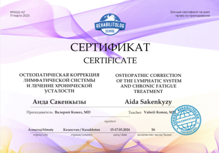Главная Школа &laquo;Реабилитолог&raquo; 10684
